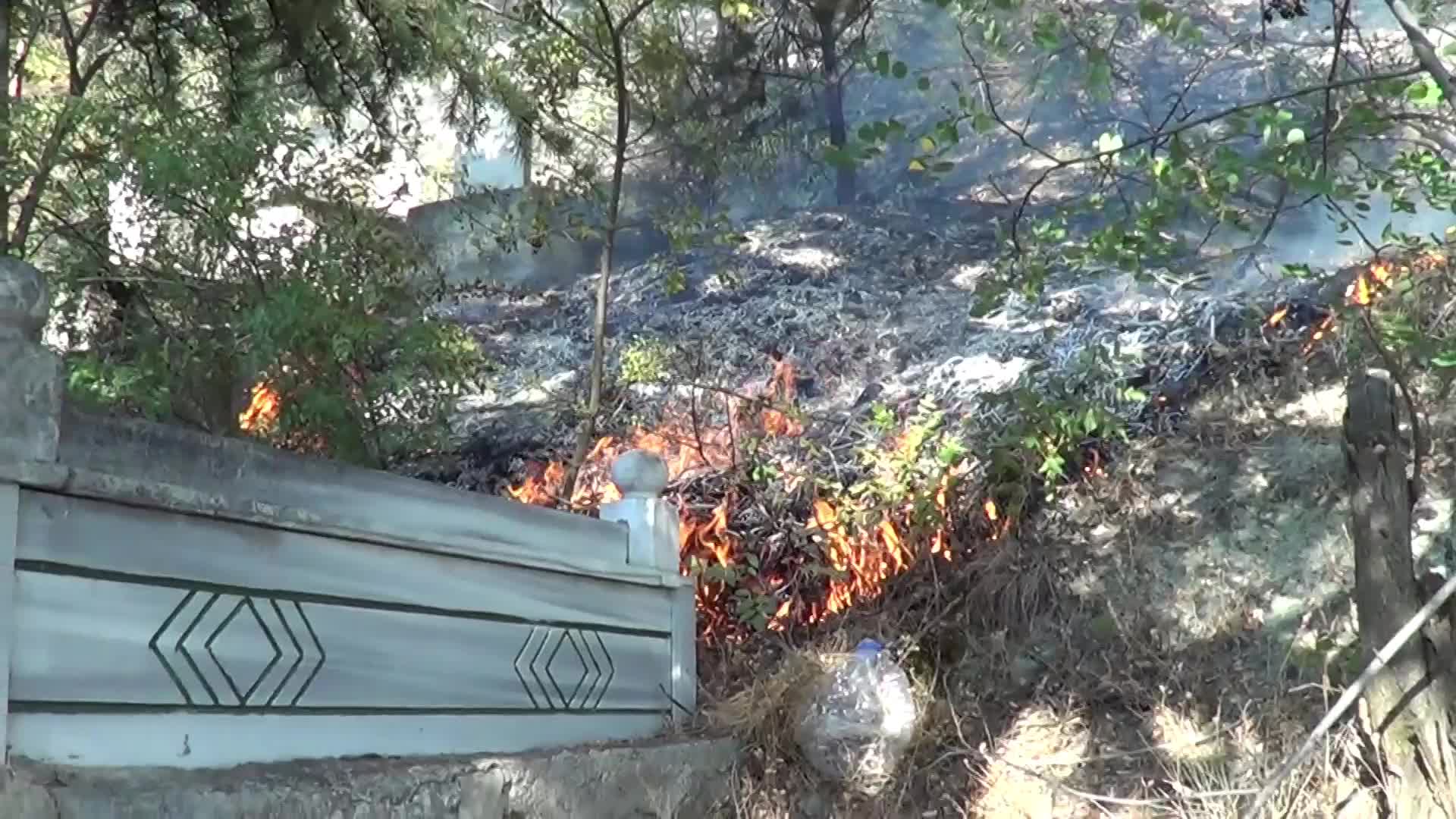 Tokat'ta Gıj Gıj Tepesi'nde çıkan orman yangını kontrol altına alındı