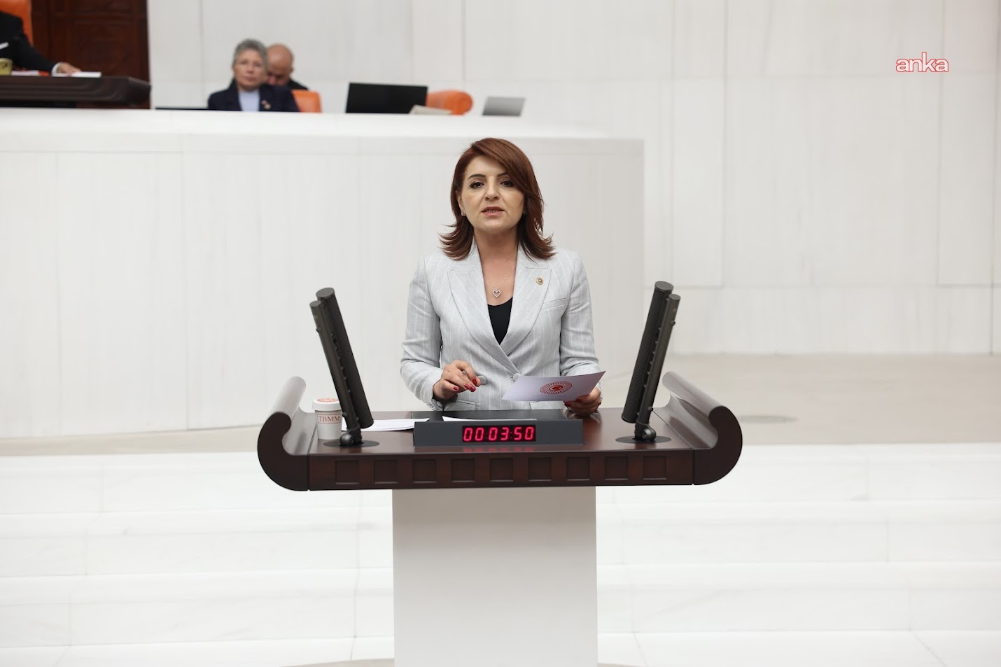 Gülcan Kış: Avrupa'nın çöpü Türkiye'ye geliyor, verisi kamuoyuna verilmiyor