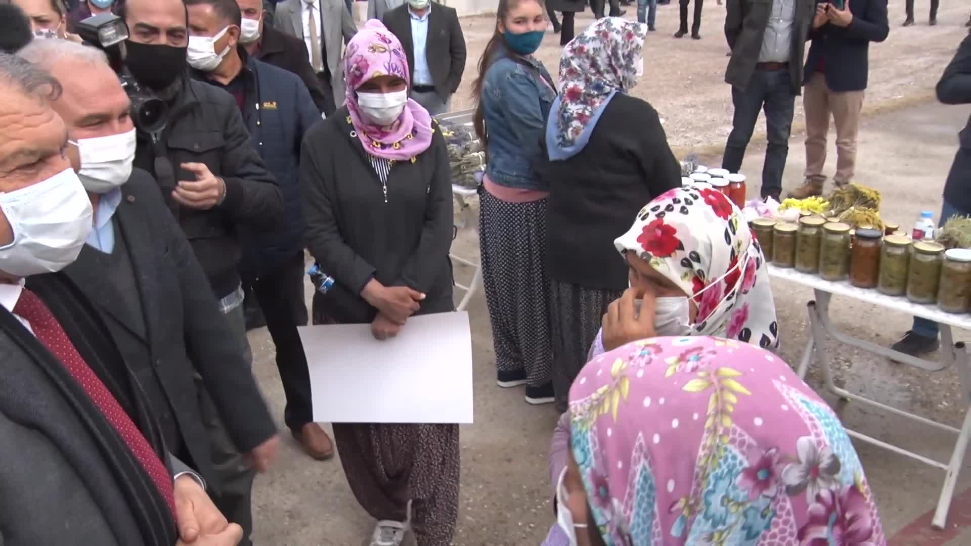 ADANA'DA  KOOPERATİF KURAN KADINLANÜRETİCİLERE 210 BİN LAVANTA FİDESİ DAĞITILDI