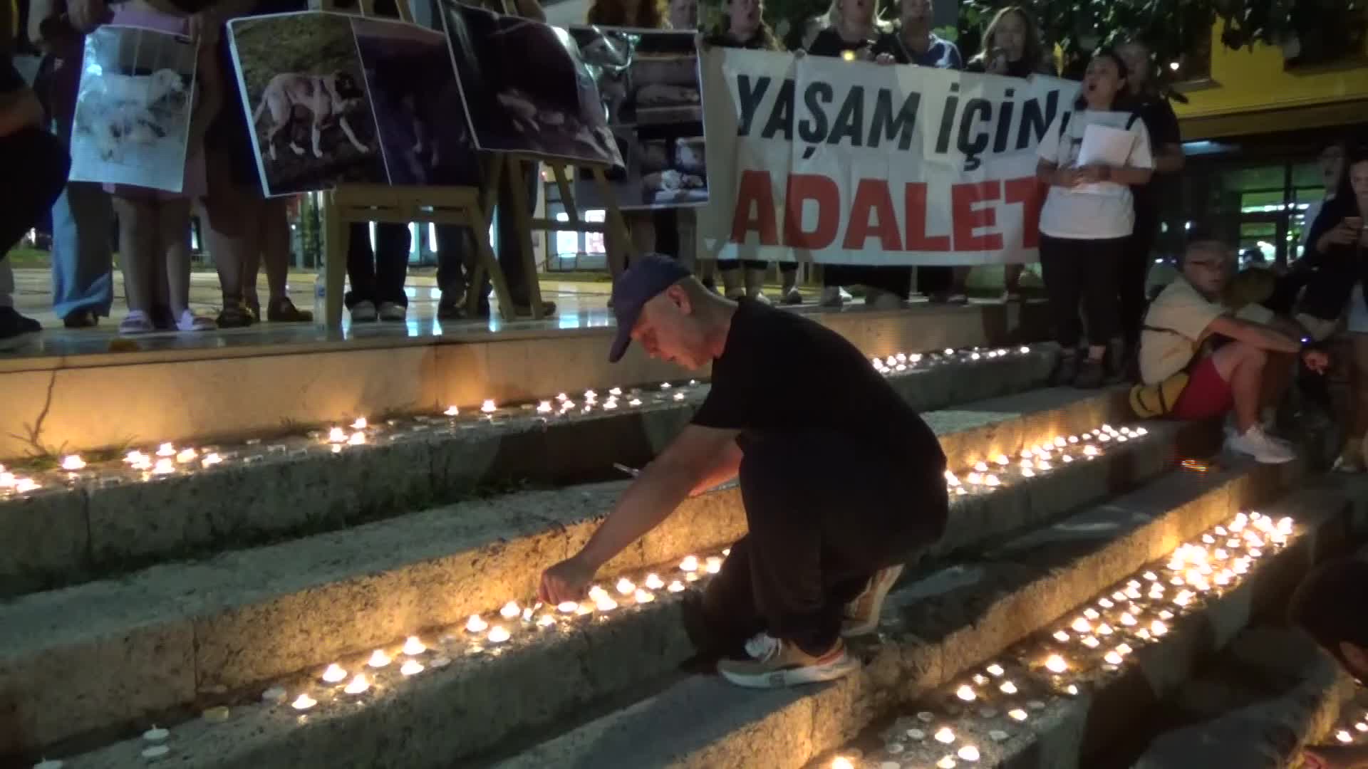 Edirne barınağında bir yılda ölen sokak hayvanları için 800 mum yakıldı