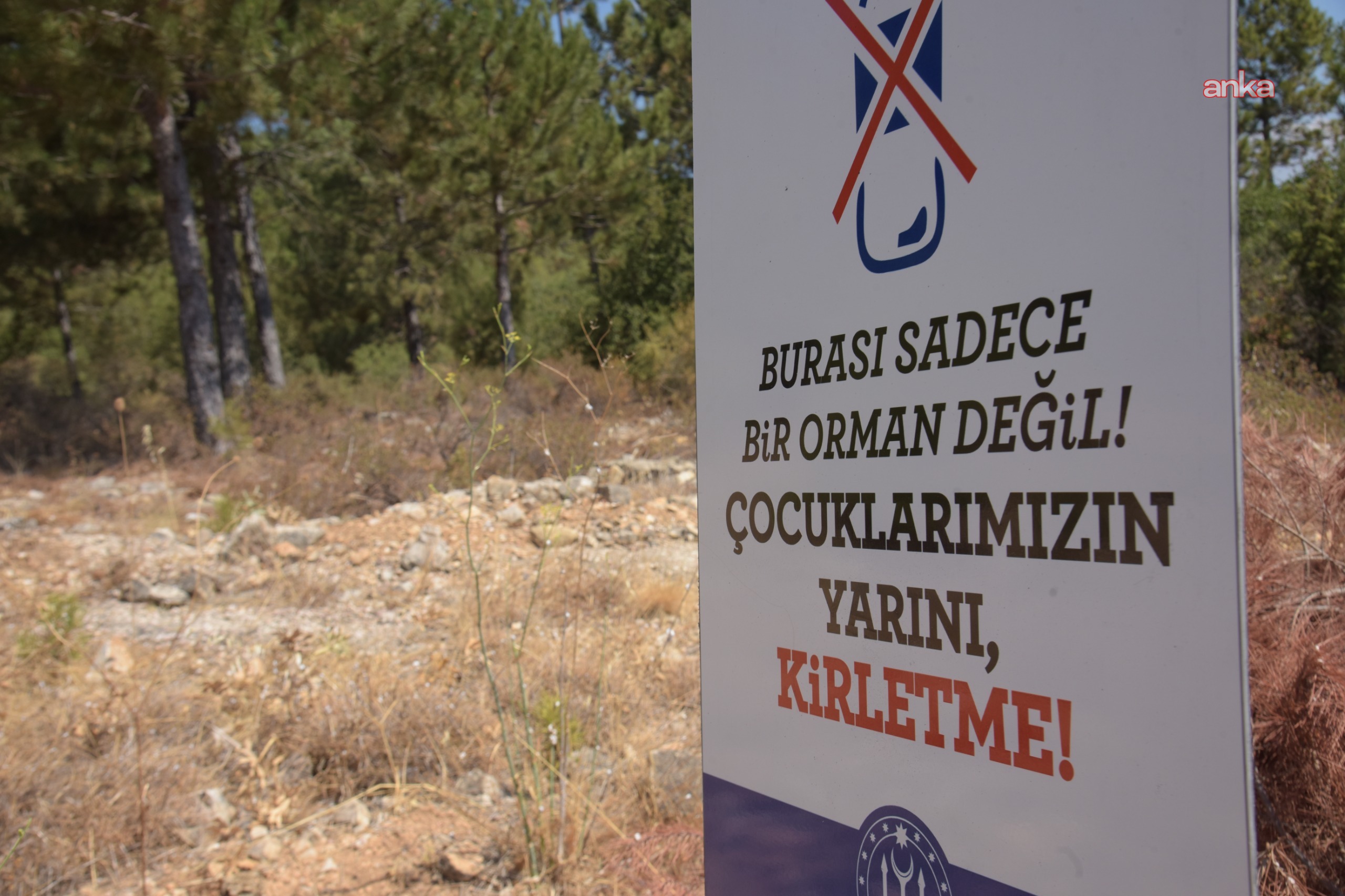 Bilecik Belediyesi, Atatürk Ormanı’na bilgilendirici ve uyarıcı levhalar yerleştirdi