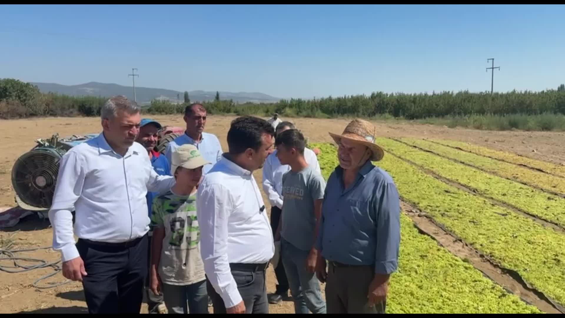 CHP'li Başevirgen, üzüm üreticilerinin sorunlarını dinledi: "Yarıdan fazla rekolte düşmüş ama üzümün fiyatı hala aynı"