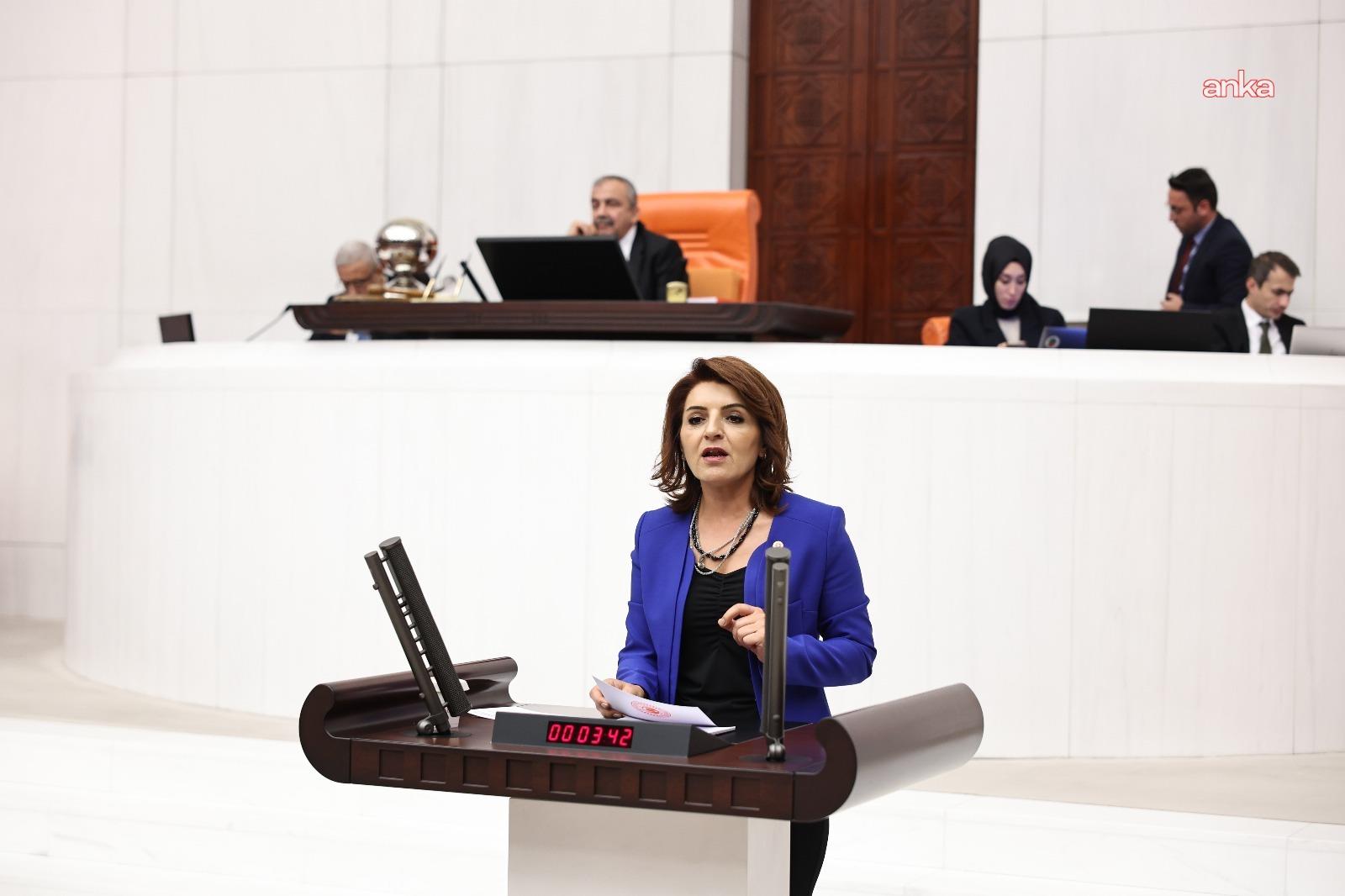 CHP’li Kış: ''İktidarın yanlış ekonomi politikaları gençlerimizi eğitimden, üretimden ve istihdamdan kopardı"