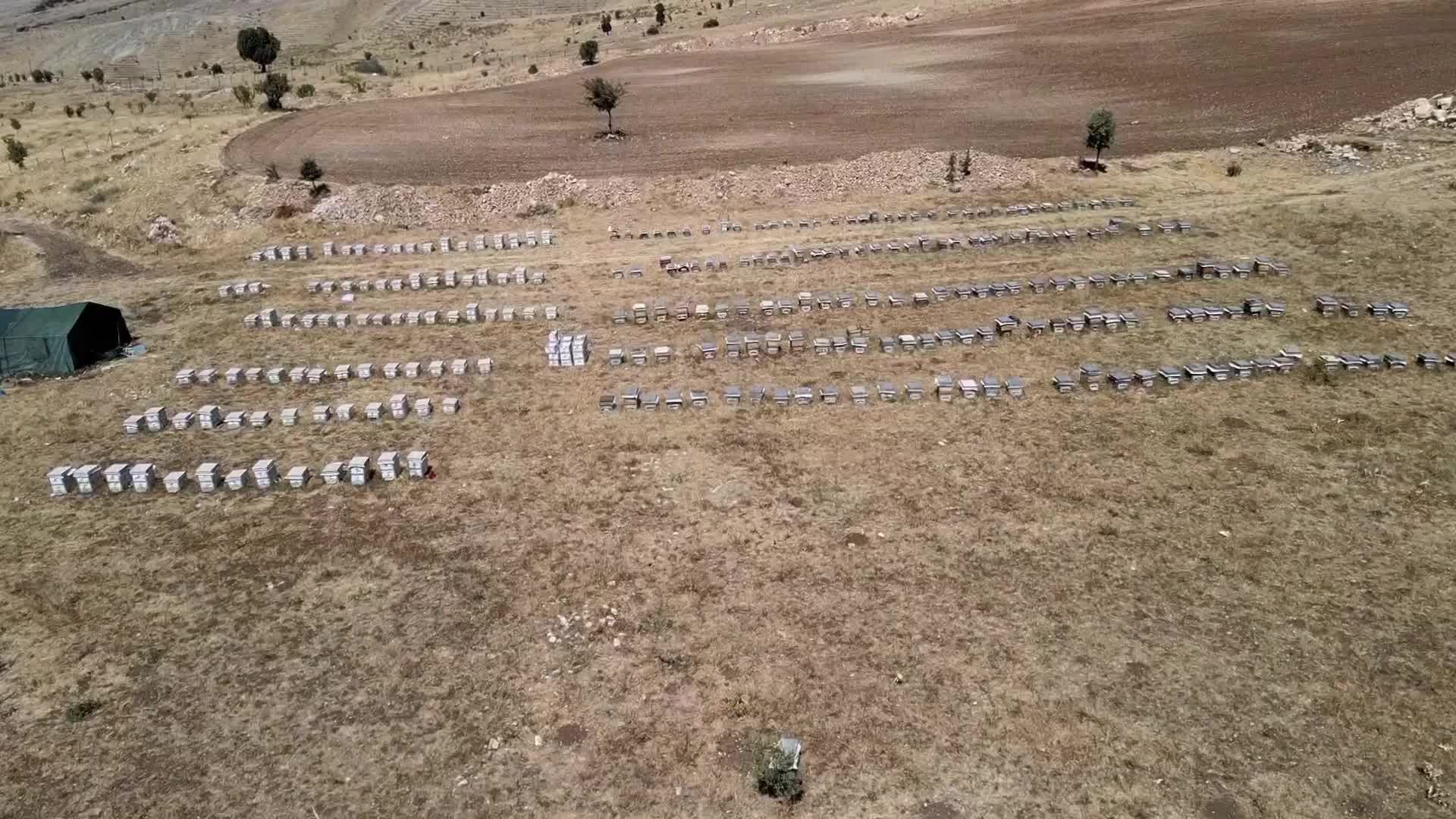 Türkiye Arı Yetiştiricileri Merkez Birliği Yönetim Kurulu Üyesi Doğan: "1 kilo balın fiyatını 800 TL olarak belirledik"