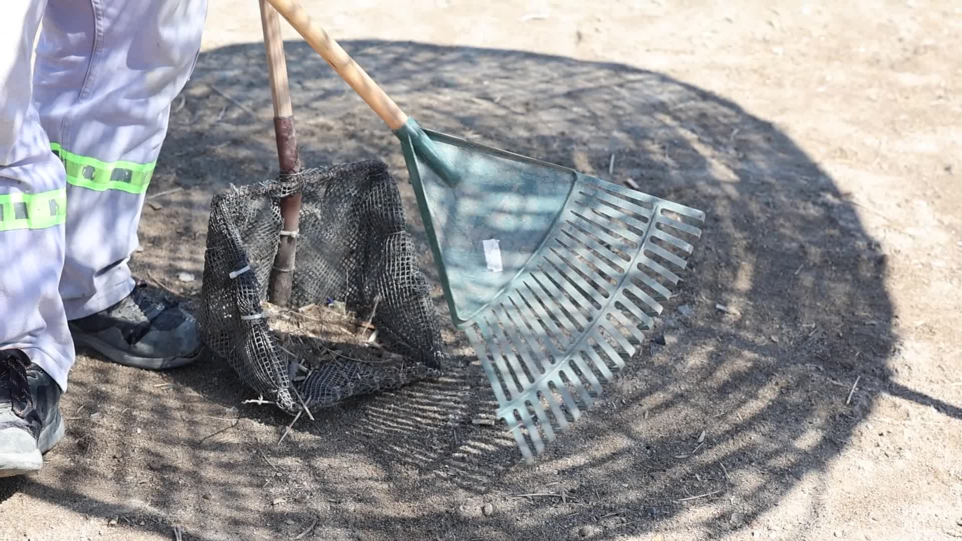 Bodrum Belediyesi'nin Deniz Çöpleri İzleme Programı, Turgutreis’te devam etti