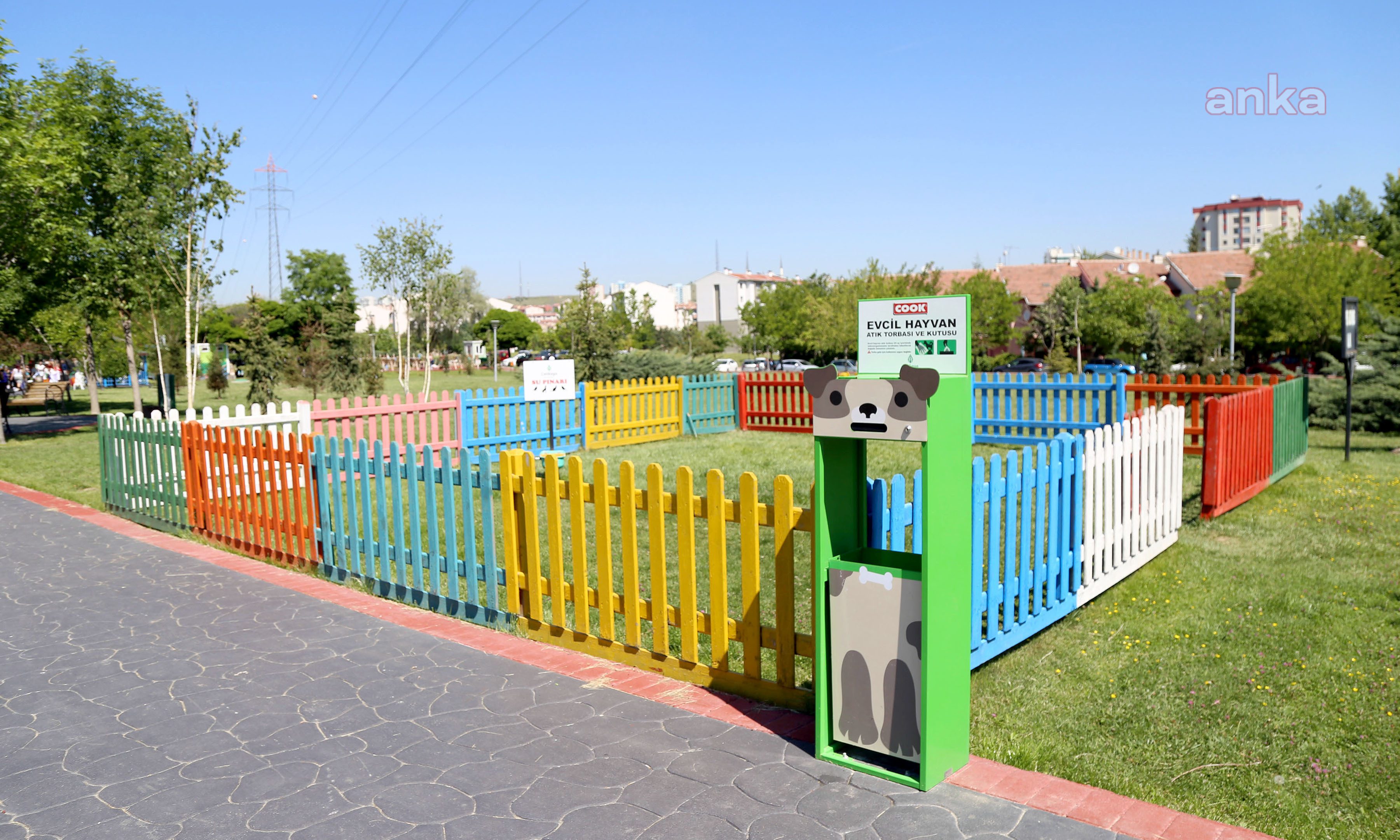 ÇANKAYA'NIN PARKLARINDA KÖPEKLERE DE YER VAR