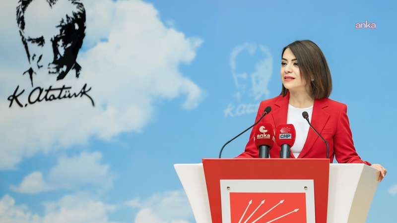 CHP'li Taşcıer:" SYDV emekçilerinin başlattığı grev, örgütlü mücadelenin, kararlı direnişin ve sosyal diyalogun gücüyle bugün kazanımla sonuçlandı"