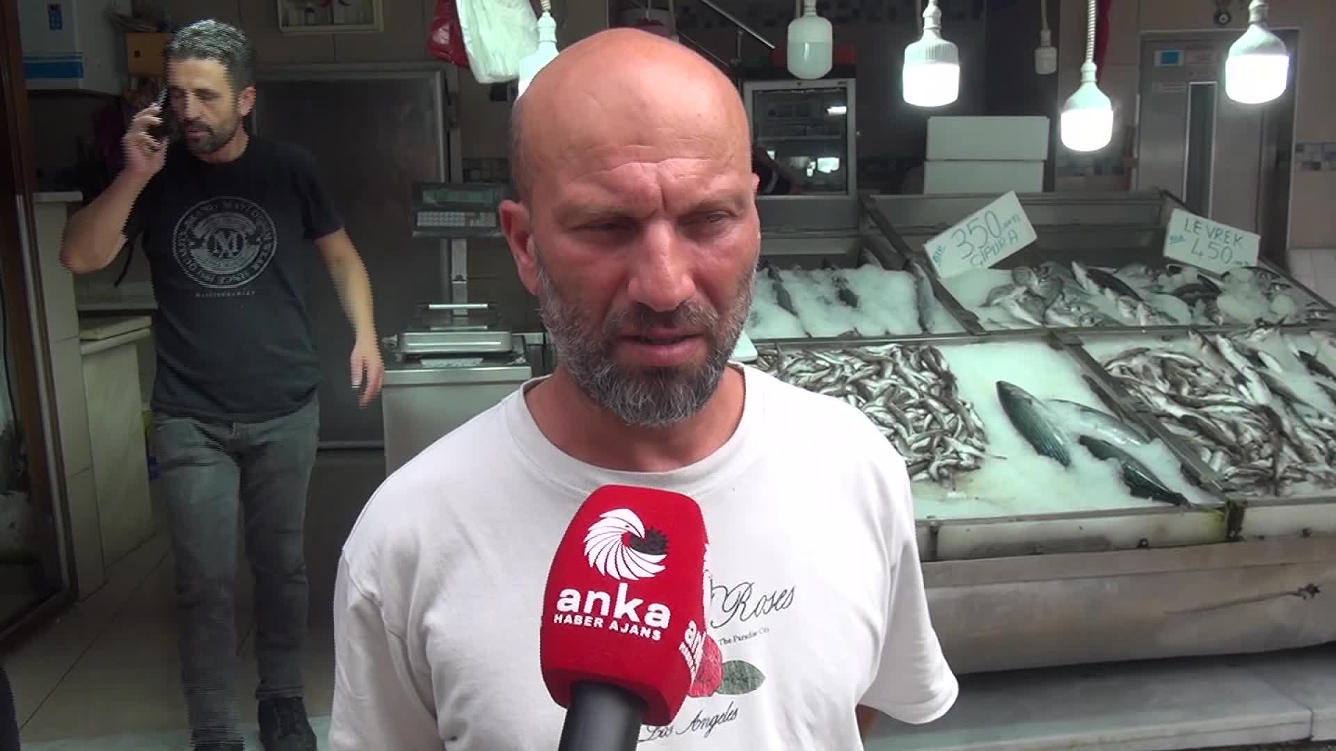 Sinoplu balıkçı: ''Bu sezon aşırı bir bolluk olacağını tahmin etmiyoruz"