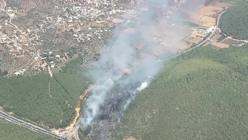 Bodrum'da orman yangını çıktı