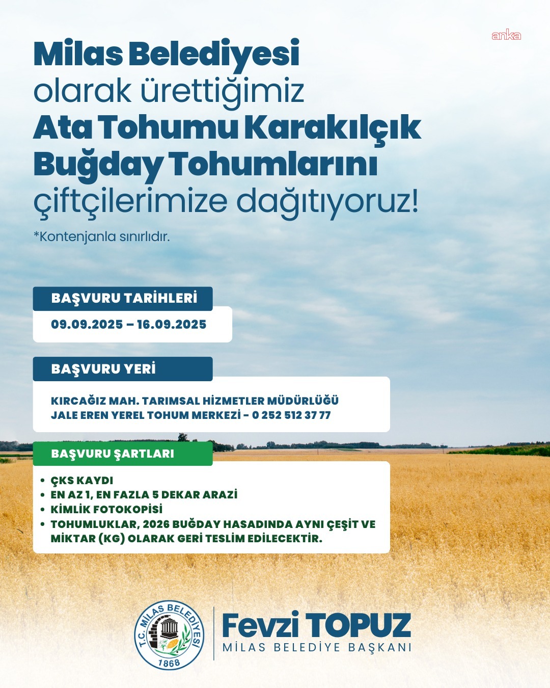 Milas Belediyesi'nden üreticilere karakılçık buğday tohumu desteği