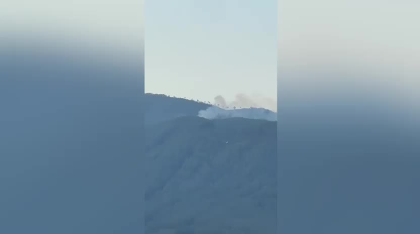 Osmaniye’de ormanlık alanda çıkan yangın kontrol altına alındı