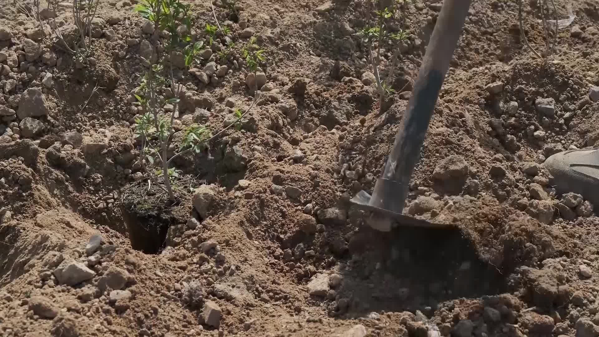 İzmir Büyükşehir Belediyesi, personel alımında yeni sistemi hayata geçiriyor