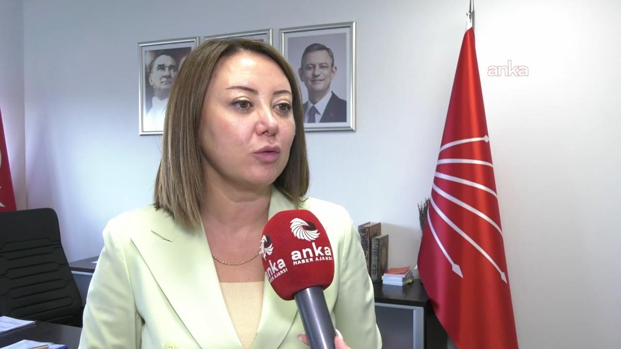 CHP'nin İstanbul İl Kongresi'nin iptal isteminin reddi... Gül Çiftci: "Kayyuma ilişkin tedbir kararı kendiliğinden ortadan kalkmış oldu"