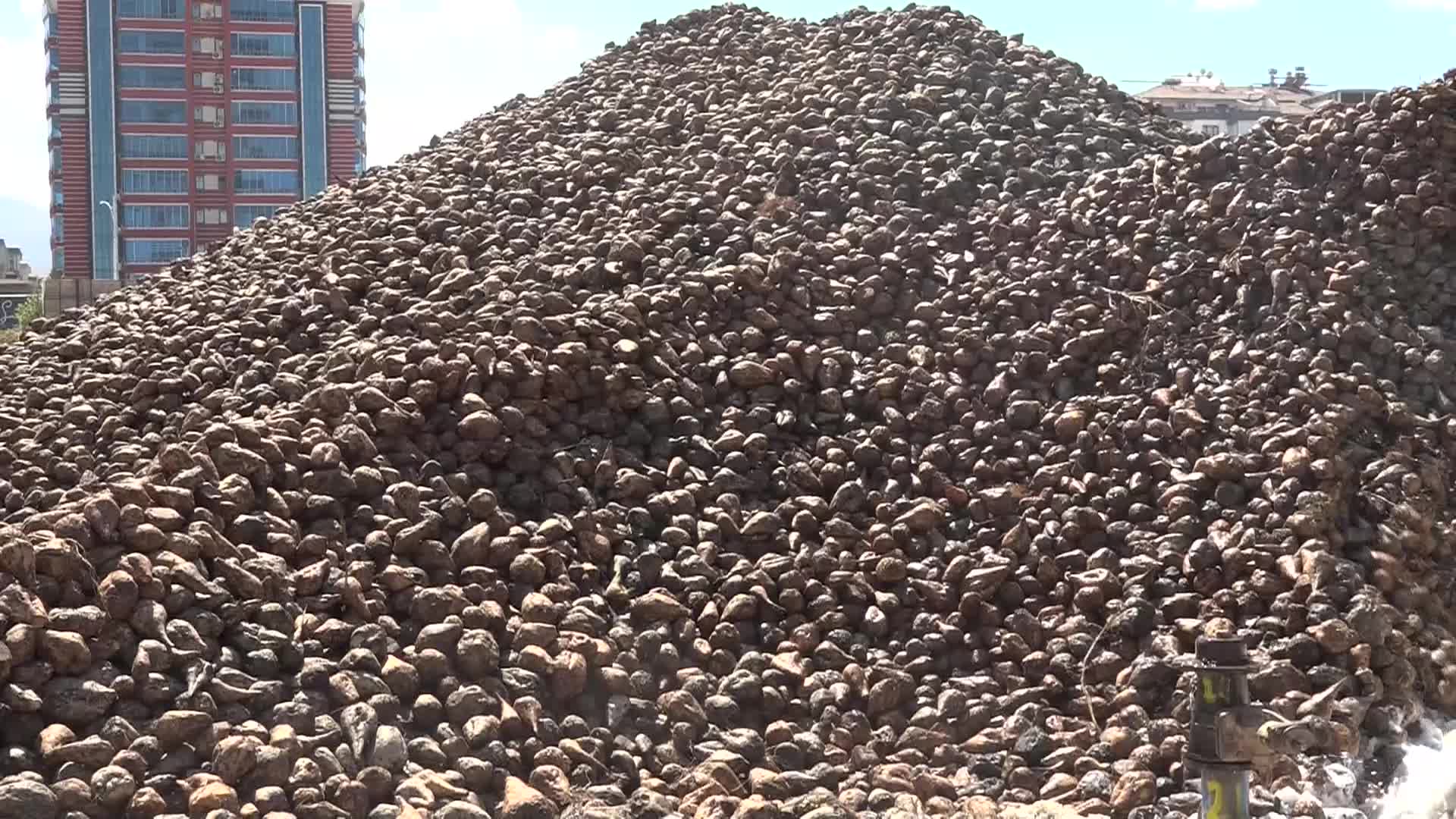 Türkşeker Malatya Fabrikası’nda pancar alım kampanyası devam ediyor