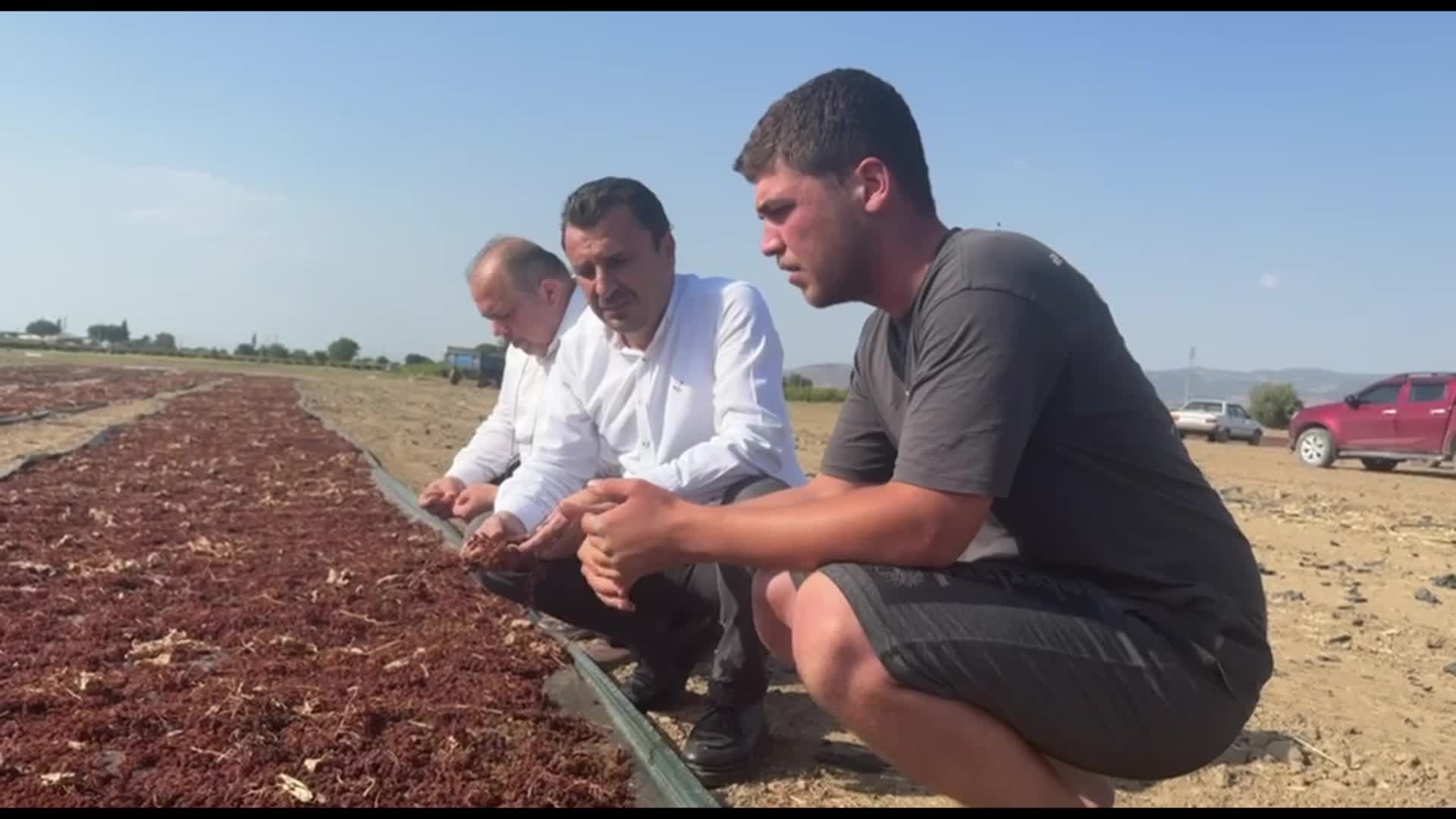 CHP'li Başevirgen Manisa’da üzüm üreticilerinin sorunlarını dinledi: "O afete, bu fiyatlara, girdilere rağmen hala bu bölgeyi dikkate alan yok"