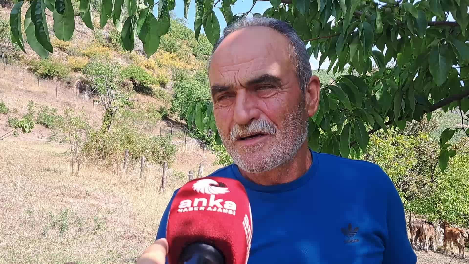 Ardanuçlu besici Bozkurt: "Hayvancılığı bırakma noktasına geldik"