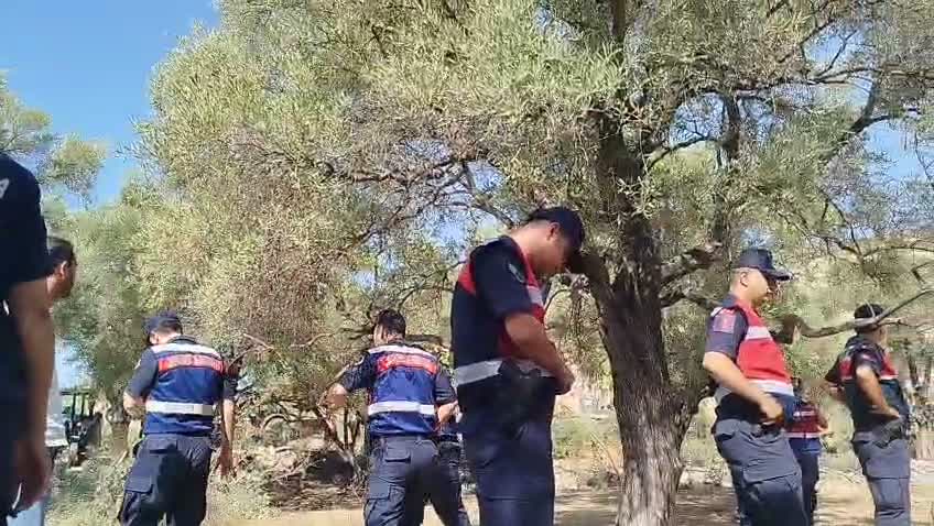 Akbelen’de zeytin ağaçlarının sökümüne karşı Danıştay'dan acil yürütmeyi durdurma istendi