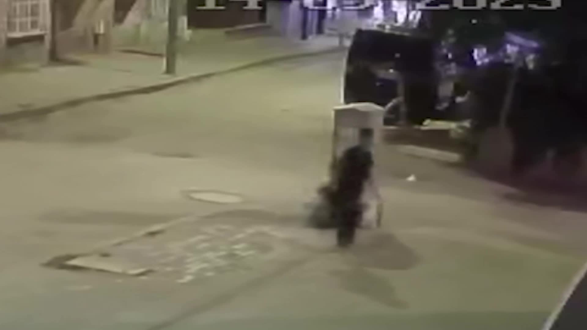 Aksaray'da yavru kediye işkence