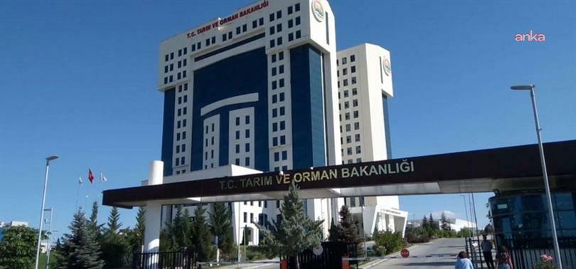 Tarım ve Bakanlığı: Çekirdeksiz kuru üzüm alım fiyatı kilogram başına 120 TL olarak belirlendi