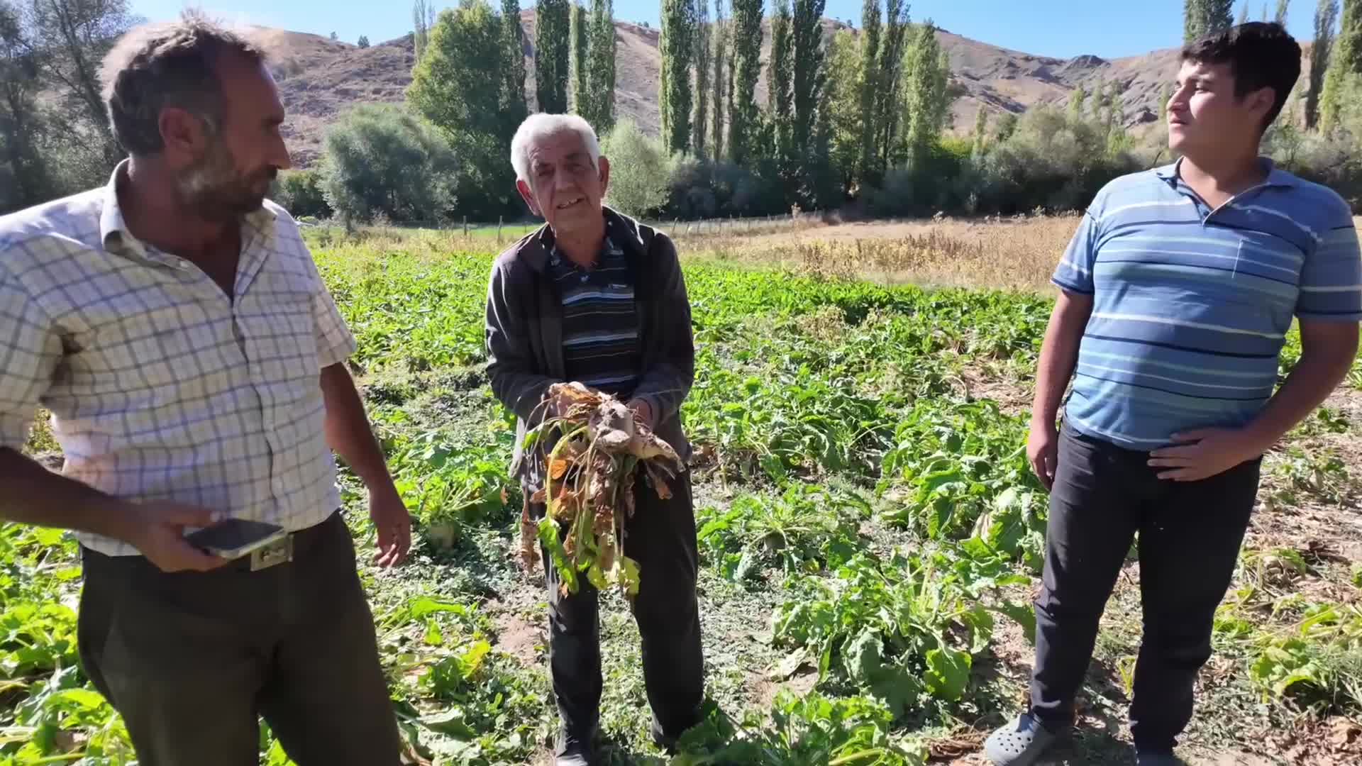 Yozgat’ta pancar hasadı buruk başladı