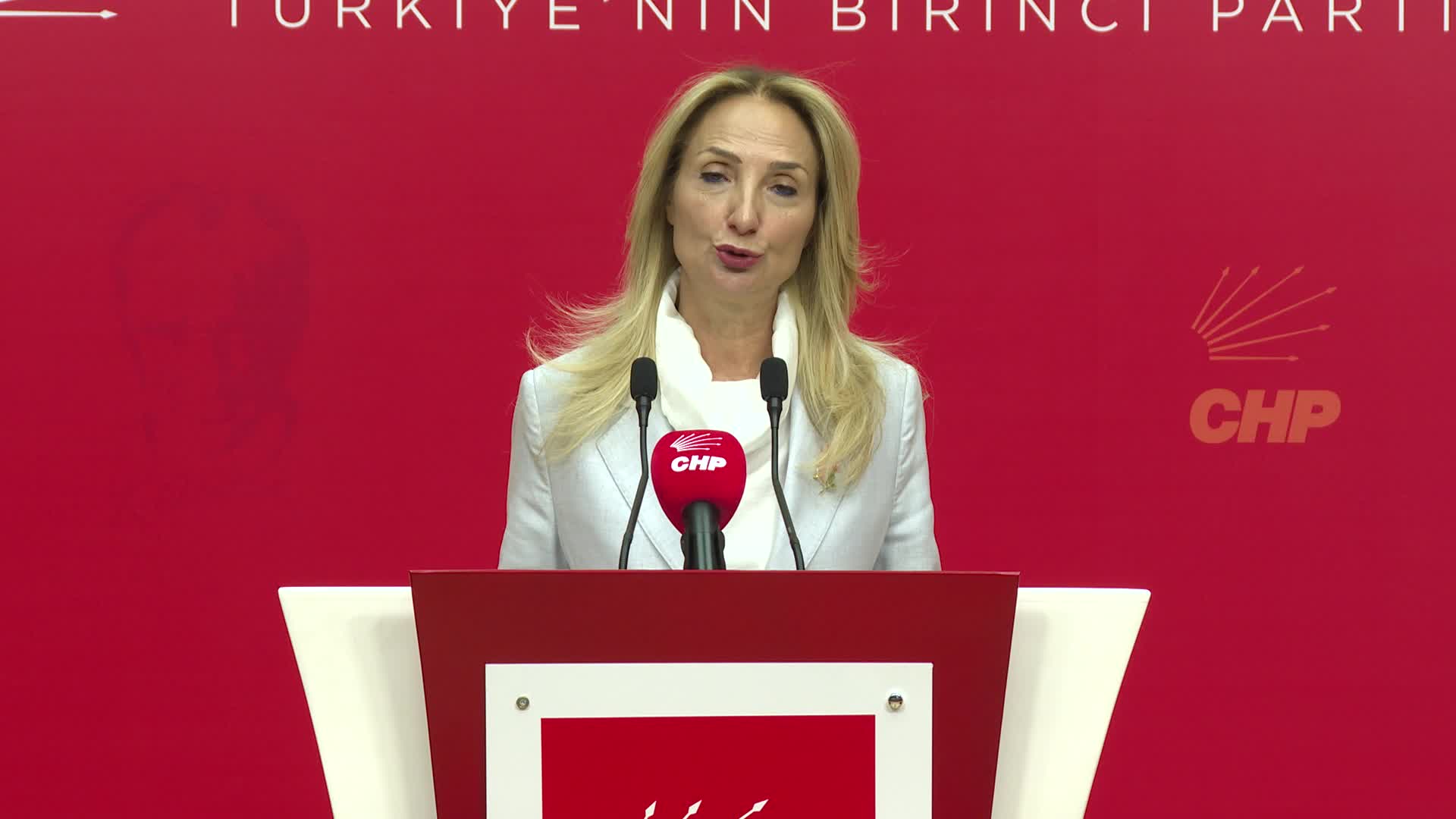 Aylin Nazlıaka: “Türkiye için gerçek güvenlik sorunu yasakçı zihniyettir”
