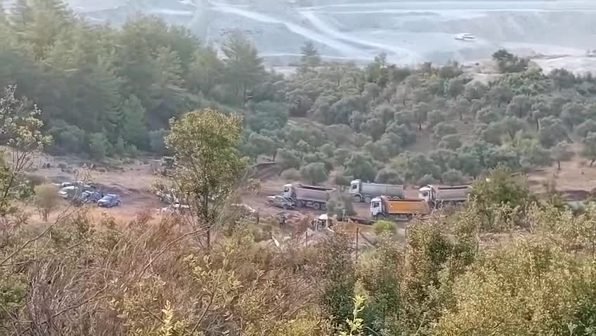 Milas’ta zeytinlikler için tehlike devam ediyor... Çağlayan Üçpınar: "Her biri 100 yaşını geçmiş 750 ağacım tehdit altında"