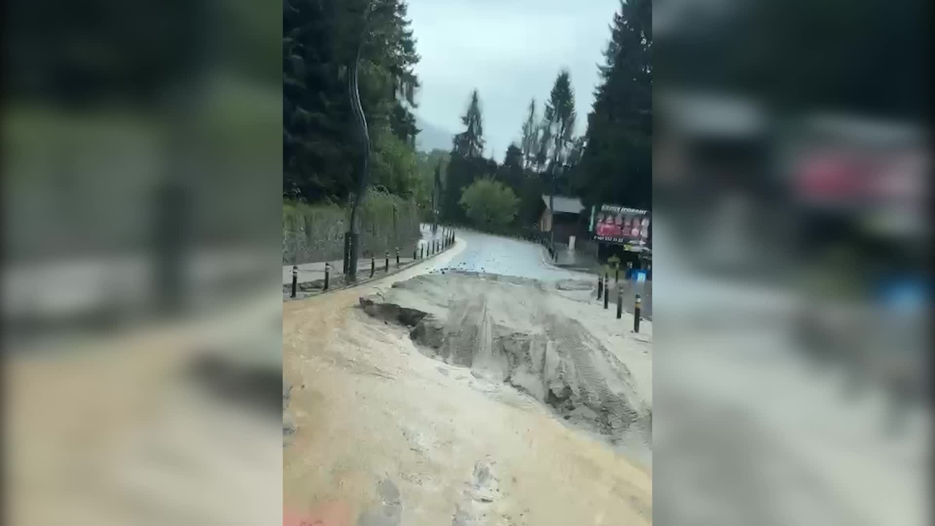 Rize’de sel ve heyelandan kaçan yavru ayılar tünele sığındı