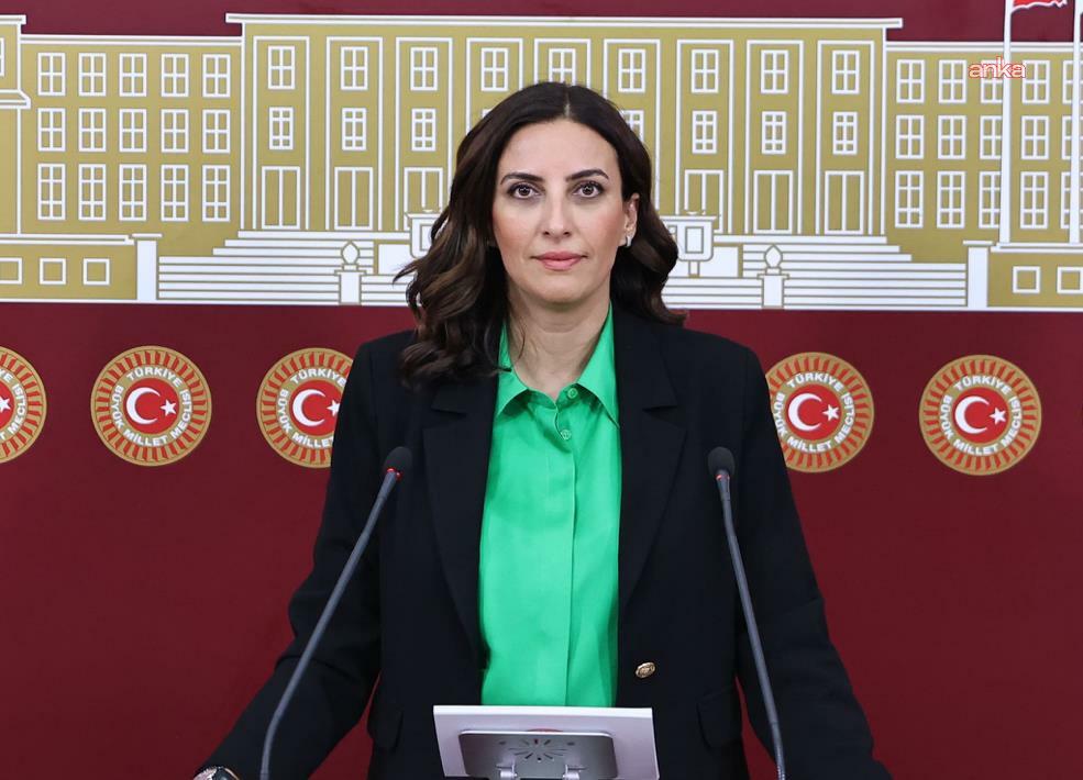 CHP'li Rızvanoğlu, İstanbul Üniversitesi Araştırma Hastanesi'nde son kullanma tarihi geçmiş ilaçların hastalara verilmesini TBMM gündemine taşıdı