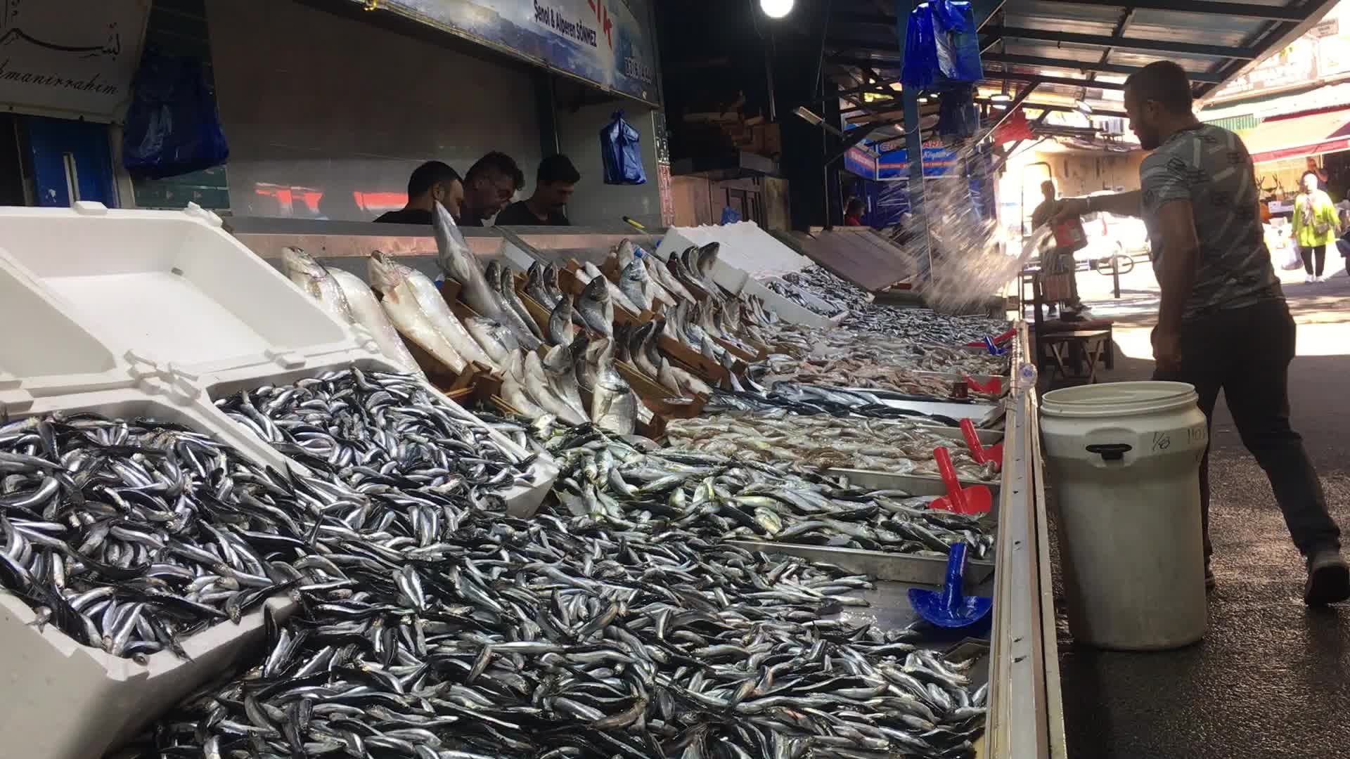 Zonguldak'ta hamsinin kilogramı 150 ila 200 liradan satılıyor