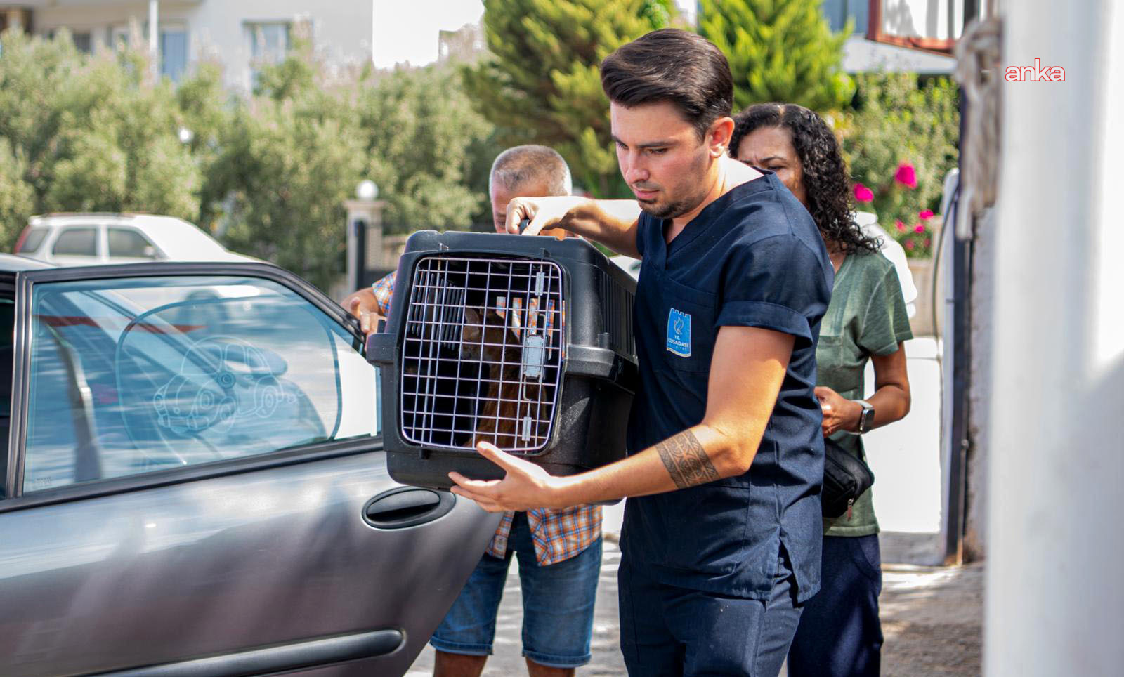 Kuşadası Belediyesi Kedi Kısırlaştırma Merkezi’ne hayvanseverlerden yoğun ilgi
