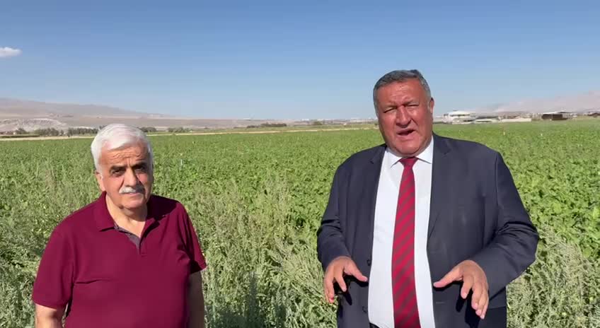 CHP’li Gürer: “Şekerpancar alım kampanyası başladı, alım fiyatı açıklanmadı”