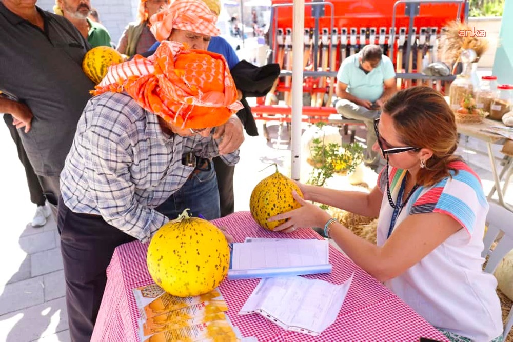 Çeşme, "10. Ovacık Tarım ve Sakız Koyunu Festivali" ile üretim kültürünü kutladı