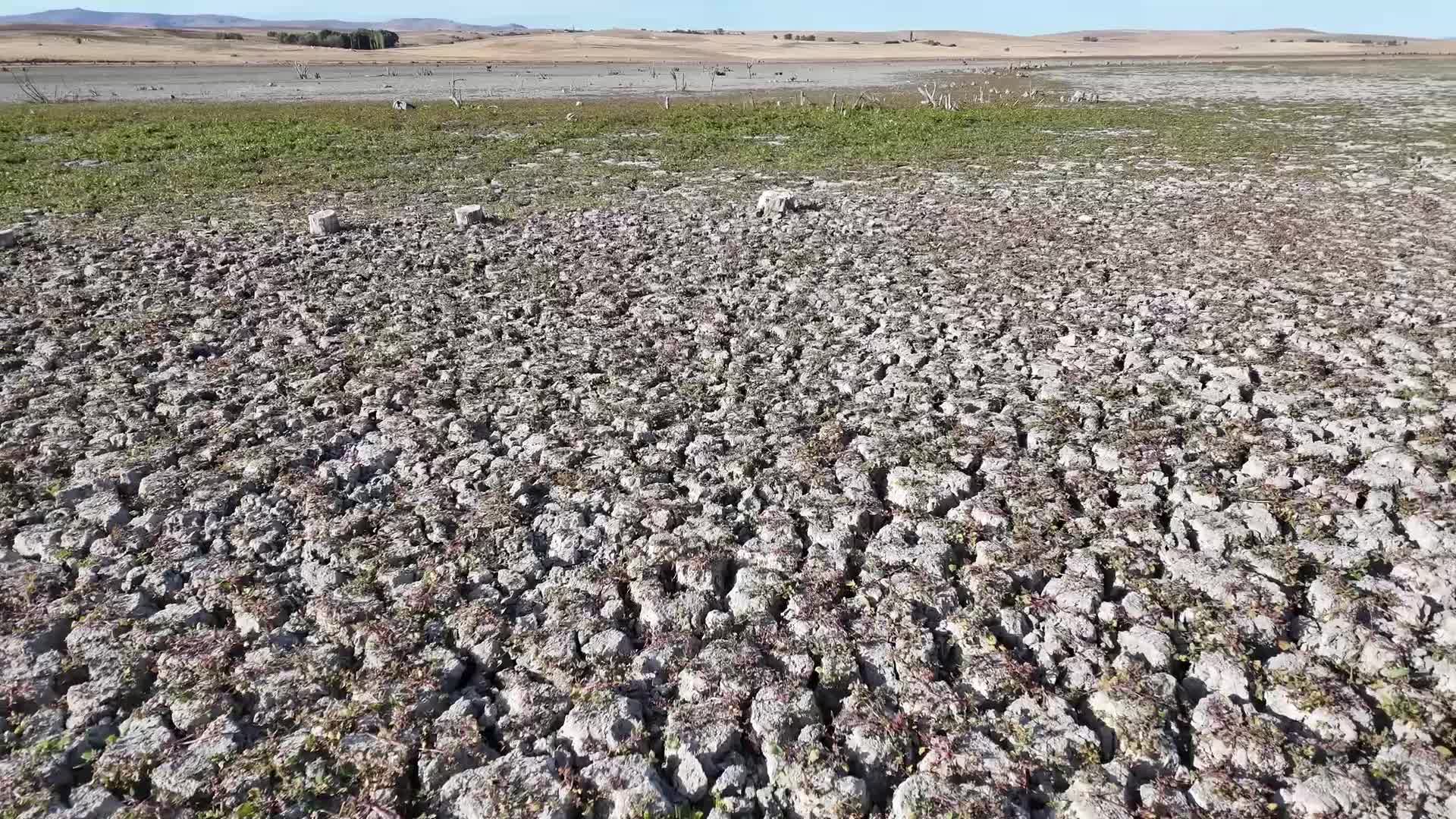 Yozgat’ta suyu çekilen baraj havzası otlak oldu