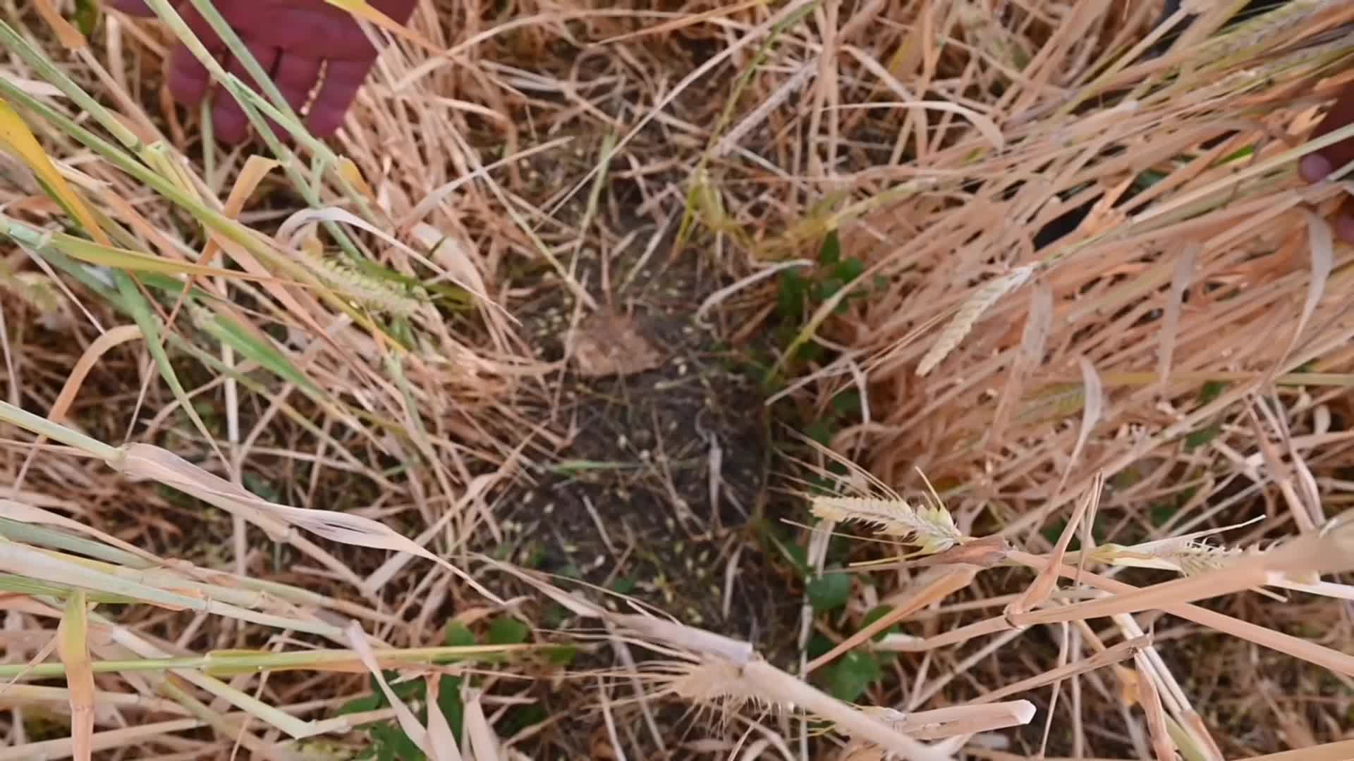Yozgat’ta çiftçi borç ertelemesine sevinirken, şekerpancarı taban fiyatını ise az buldu