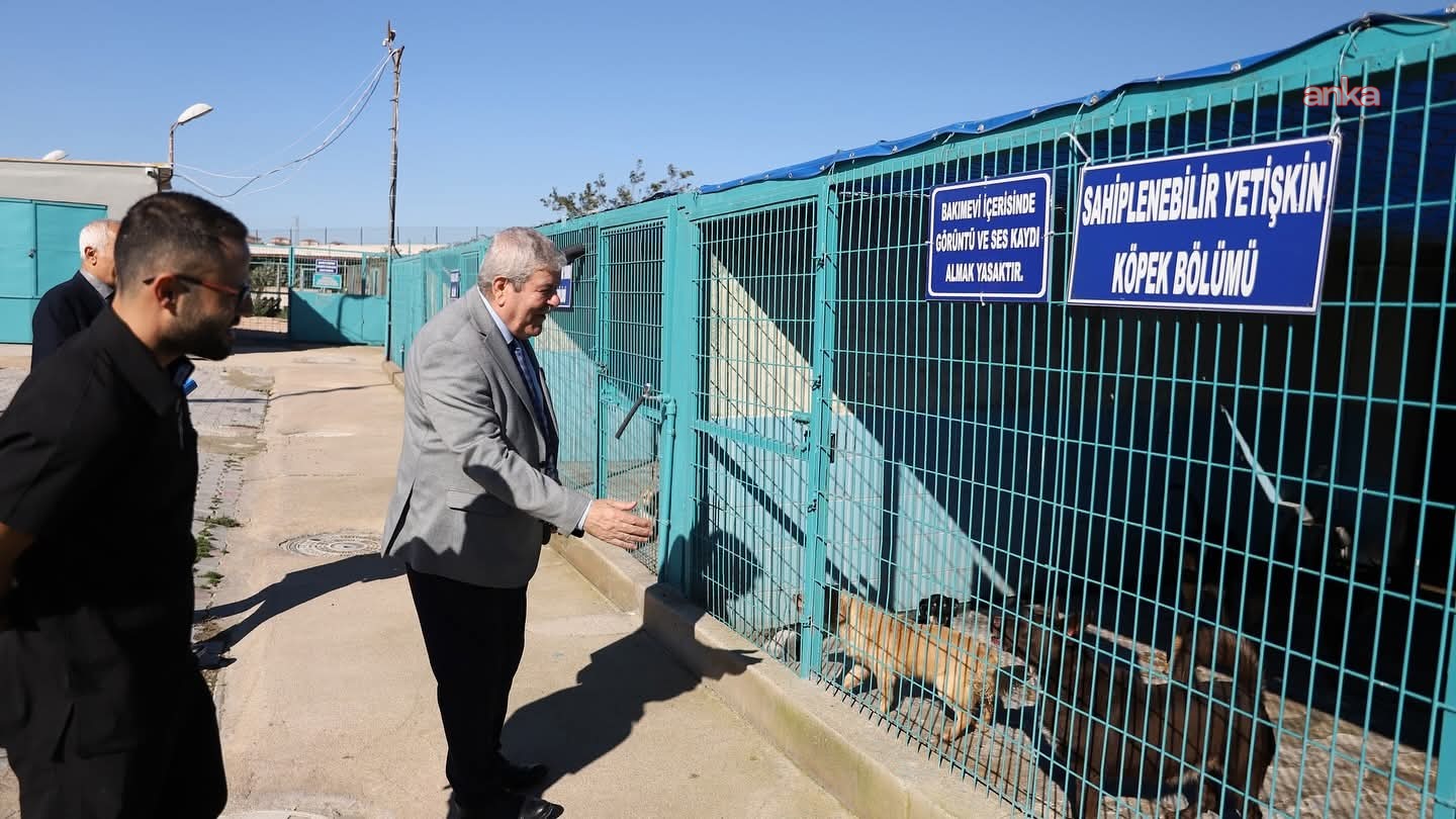 Bandırma’da sokak hayvanları için barınak çalışmaları sürüyor