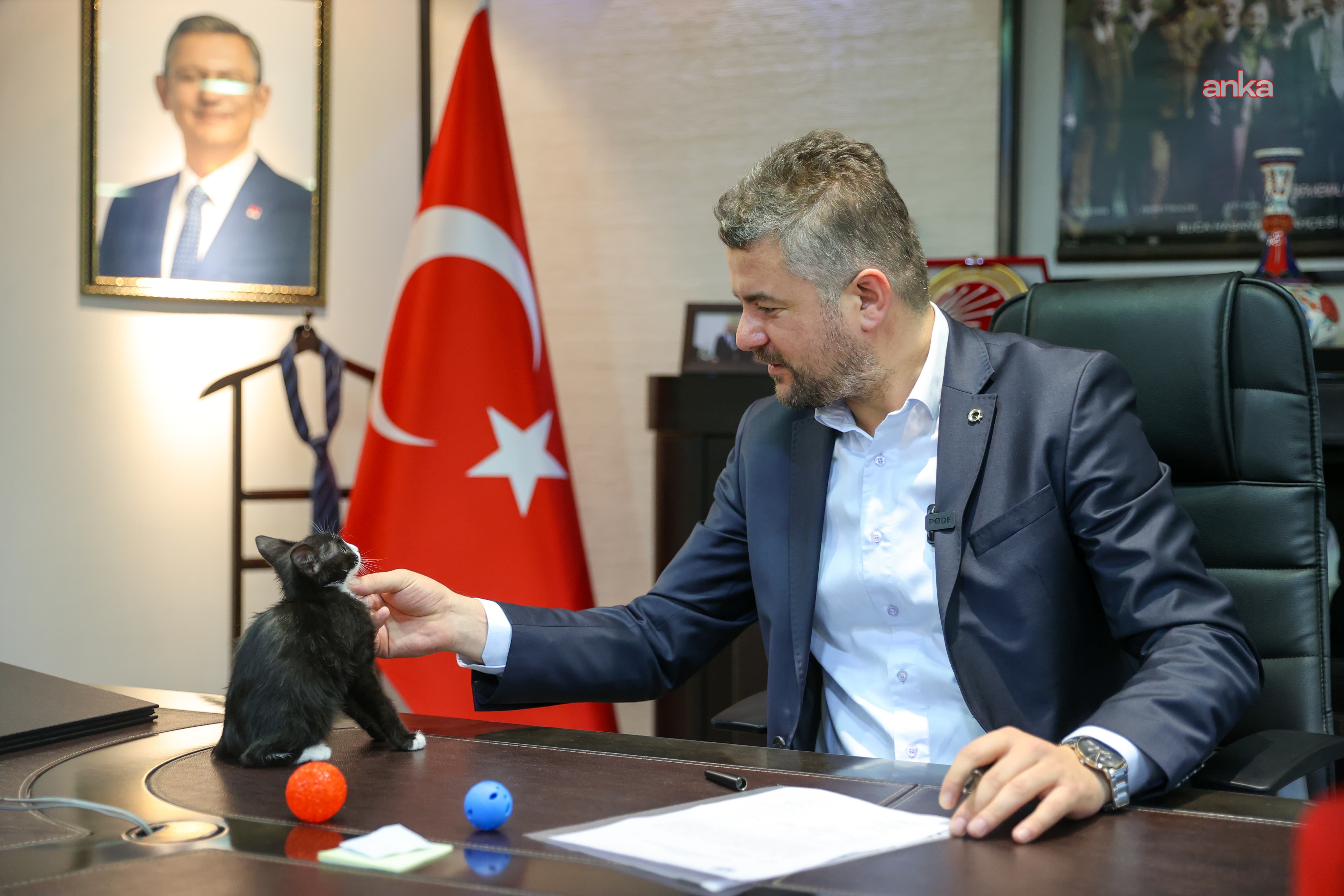 Hayvanları Koruma Günü’nde Buca Belediye Başkanı Başkan Duman’dan "sokak hayvanlarını sahiplenme" çağrısı