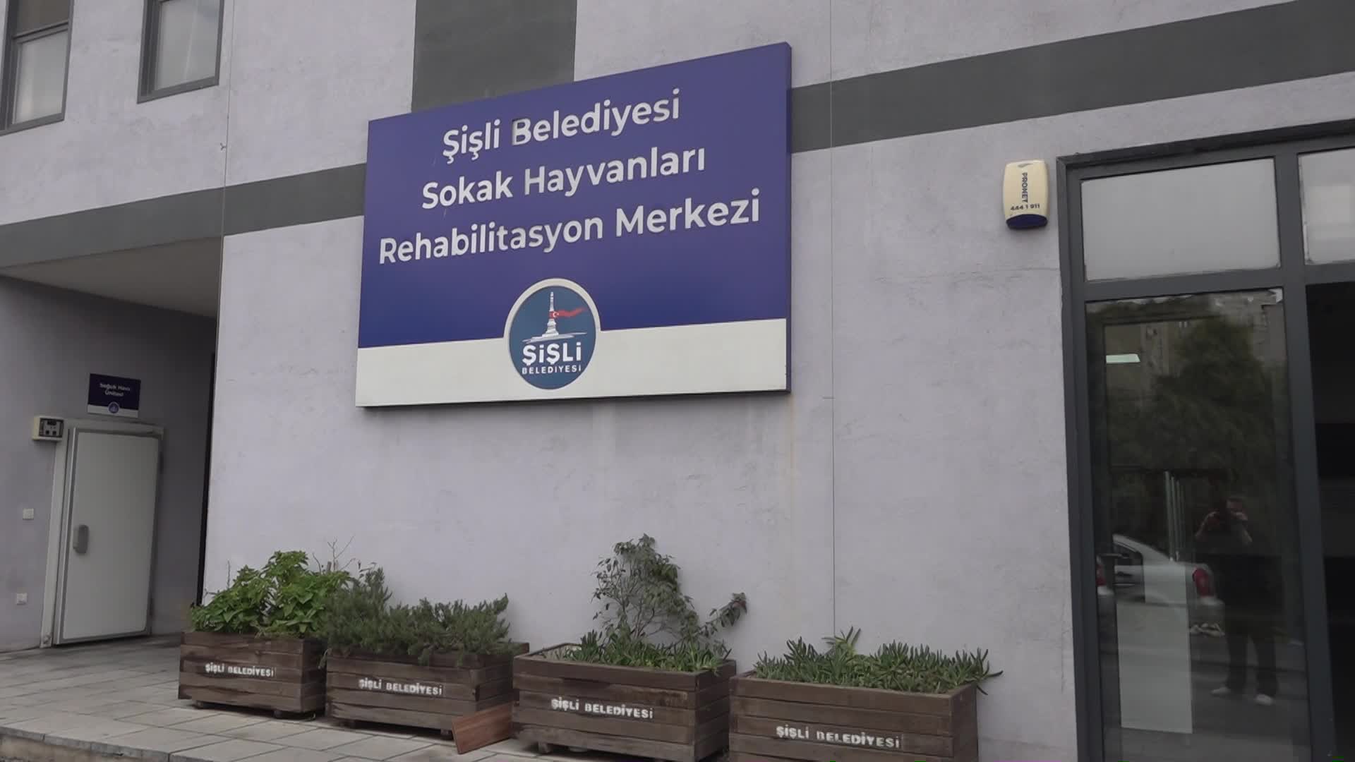 Şişli Belediyesi'nden sokak hayvanlarına şefkatli dokunuş