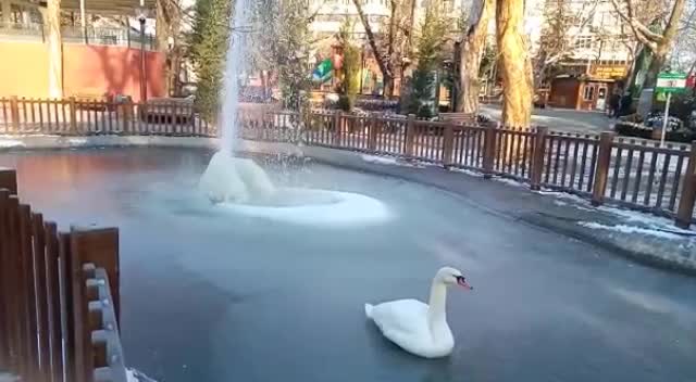 KUĞULU PARK HAVUZU BUZ TUTTU
