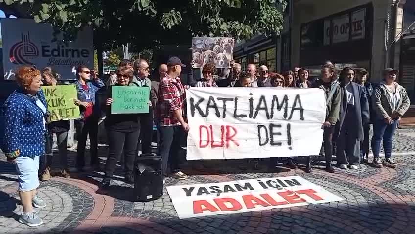 Edirne'de Dünya Hayvanları Koruma Günü eylemi