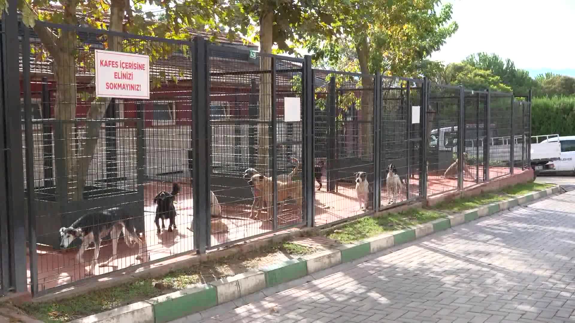 Osmangazi Belediyesi’nden 4 Ekim Dünya Hayvanları Koruma Günü’ne özel etkinlik