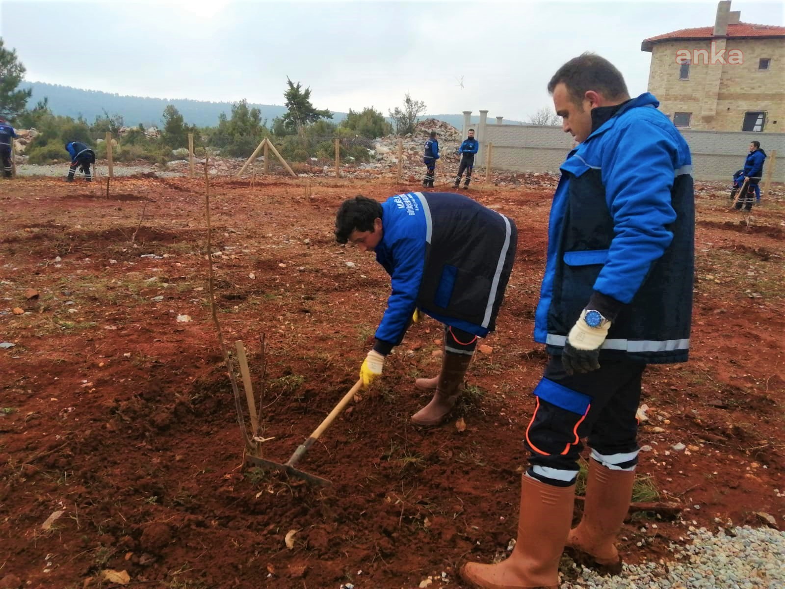 MUĞLA BÜYÜKŞEHİR'DEN "HORTİKÜLTÜREL" TERAPİ HAZIRLIĞI