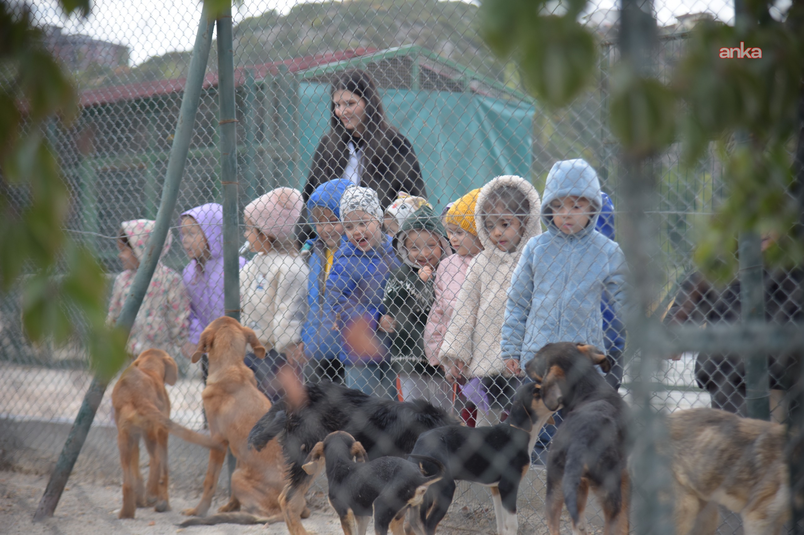 Bilecik'te minik öğrencilerden can dostlara ziyaret
