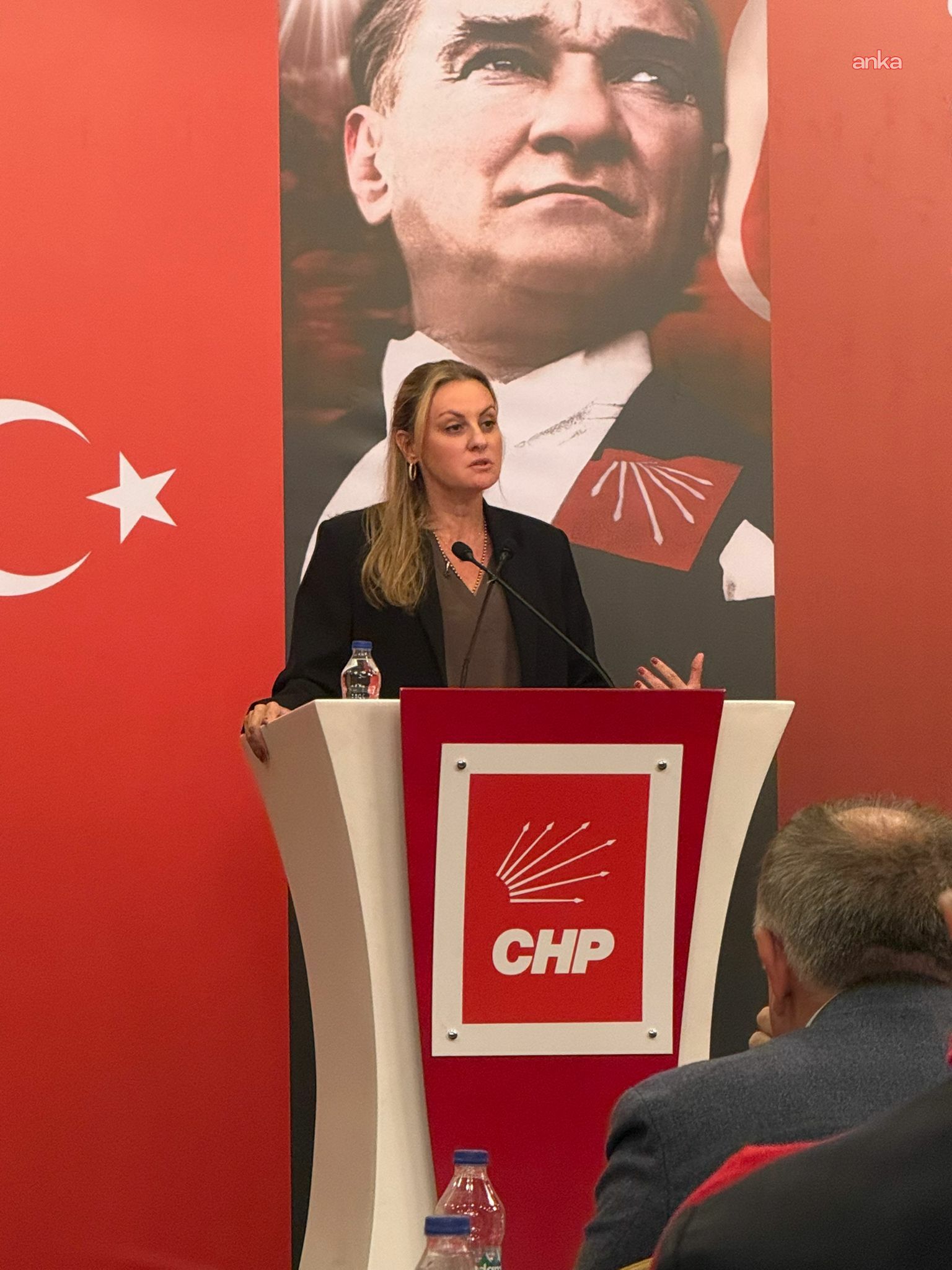 CHP'li Ösen: "Nadir toprak elementlerimiz peşkeş çekilecek"