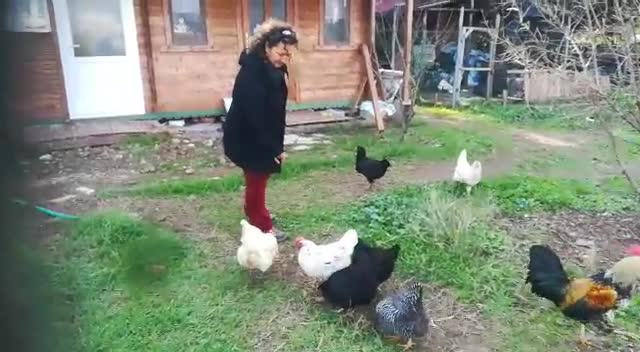 NERGİS ÜRETİCİSİNİN İSYANI: BİZDEN 4 LİRA 90 KURUŞA ALDILAR, İSTANBUL'DA 60 LİRAYA SATIYORLAR