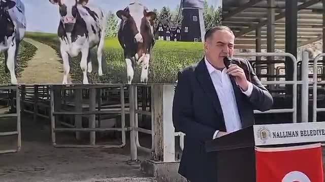 Nallıhan Belediyesi'nden çiftçilere gebe düve desteği... Başkan Güngör: "Çiftçimiz üretecek, Nallıhan kazanacak"