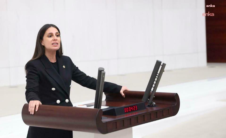 CHP’li Özcan: "Datça Belediyesi’nin iskele kullanım hakkına el konulma girişimi CHP'li belediyelere yönelik sindirme politikasının uzantısıdır"