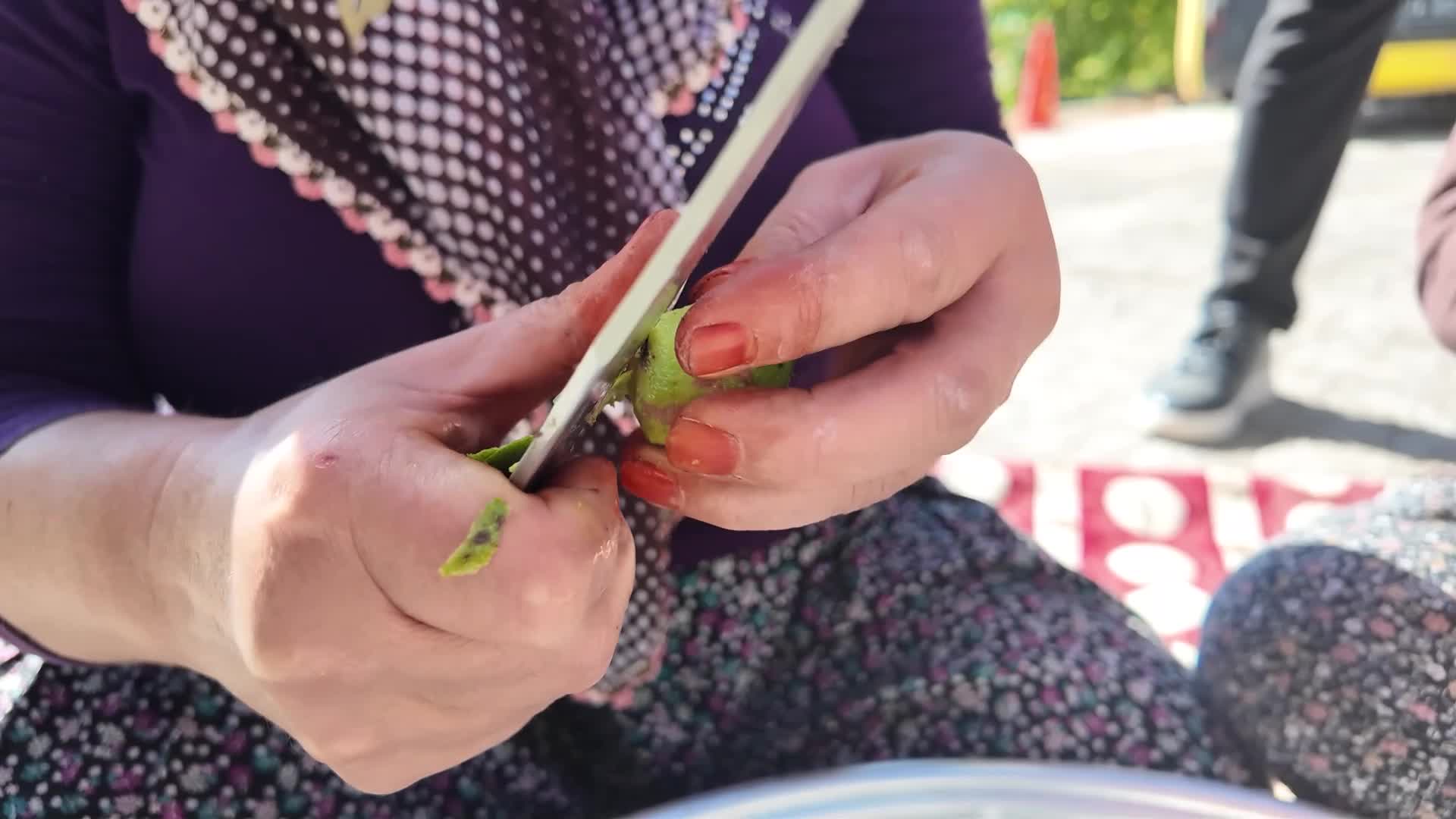 Mersin Büyükşehir Belediyesi'nden üreticilere ceviz soyma makinesi desteği