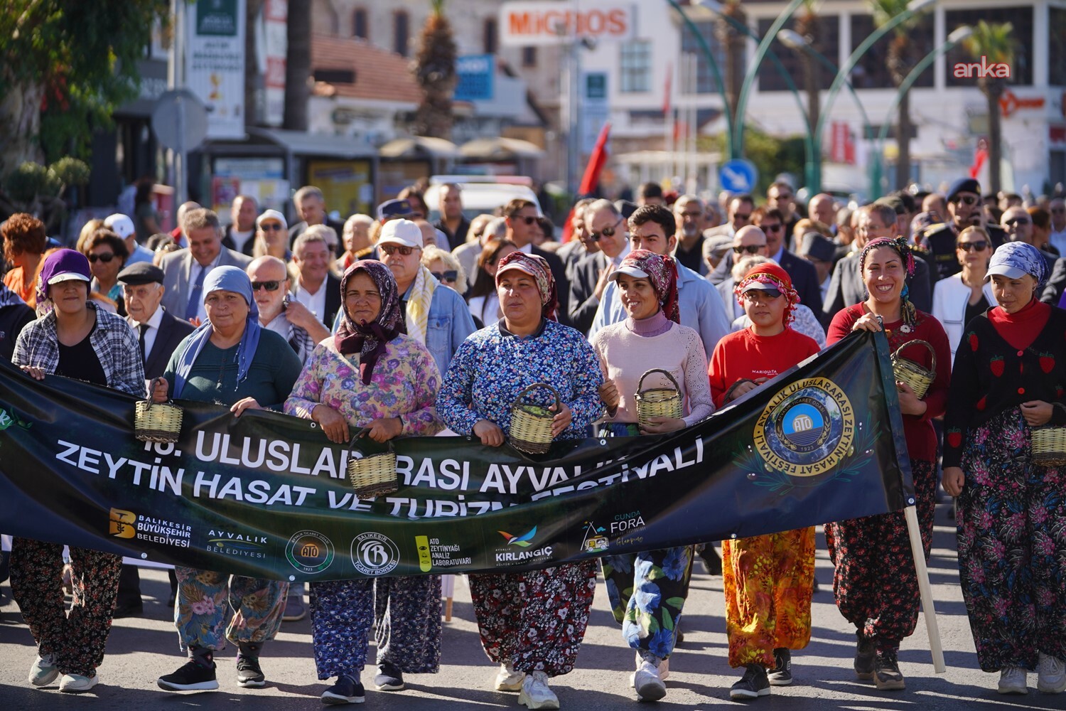 Ayvalık'ta "20. Zeytin Hasat ve Turizm Festivali" için geri sayım başladı