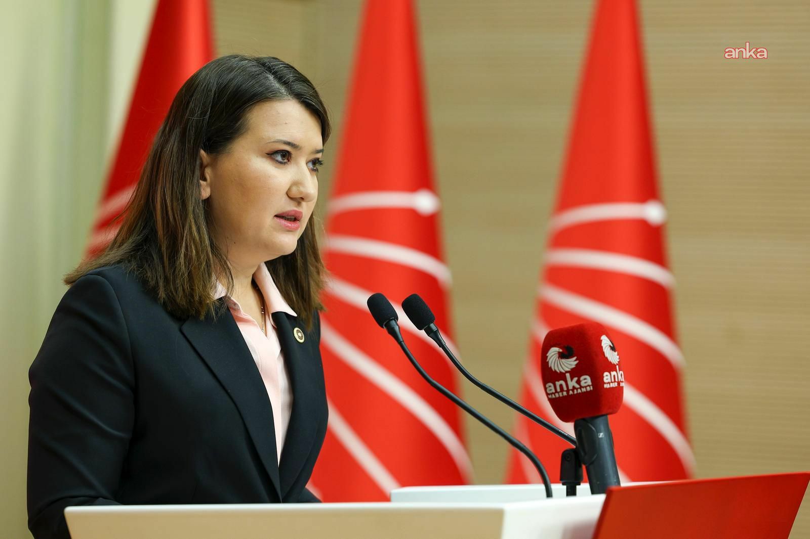Gökçe Gökçen: Gazeteci Hakan Tosun'a kimin neden saldırdığı derhal aydınlatılmalı