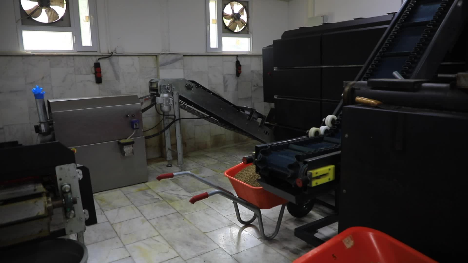Muğla Büyükşehir Belediyesi, can dostlar için bugüne dek 42 ton mama üretti